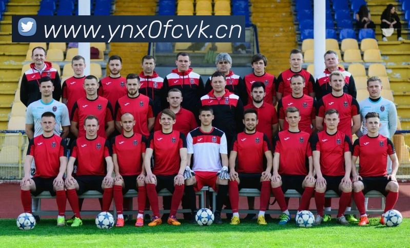 华体在线登录入口平台生态图